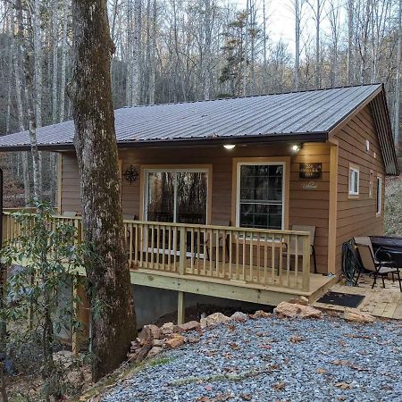 Deep Creek Hideaway Cabin Bryson City Kültér fotó
